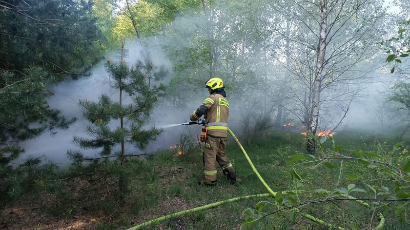 Pożar lasu w gminie Kamieńsk (materiał z 25.05.2022)