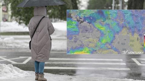 Prognozowana temperatura w kolejnych dniach 