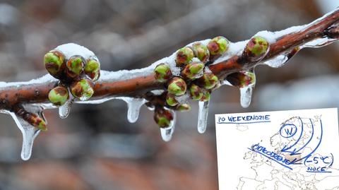 Czeka nas "zastopowanie falstartu wiosny"