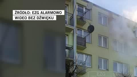 EZG Alarmowo