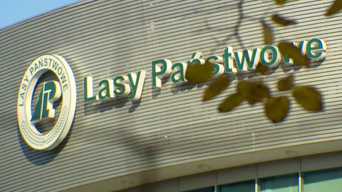 Pieniądze z Lasów Państwowych lały się szerokim strumieniem na promocję partii Ziobry. Nowy raport NIK 