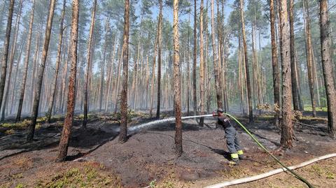 Pożar lasu, miejscowość Modła na Dolnym Śląsku