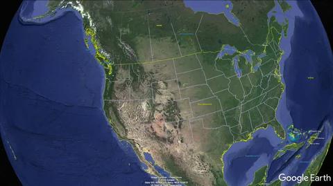 Gołąb Joe przebył 13 tysięcy kilometrów z USA do Australii