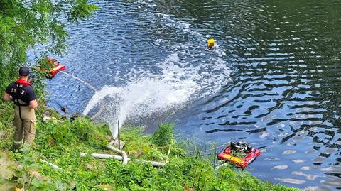 Śnięte ryby w Kanale Gliwickim. Działania straży pożarnej