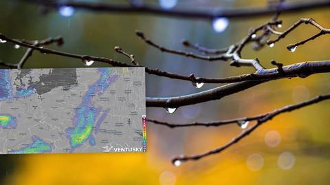 Prognoza temperatury na okres 25-29.04