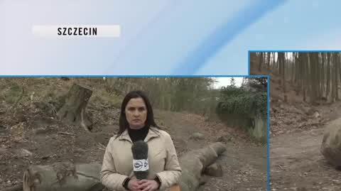 lajf szczecin 3