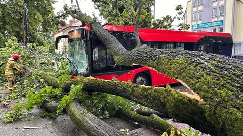 Drzewo spadło na autobus miejski. Są ranni