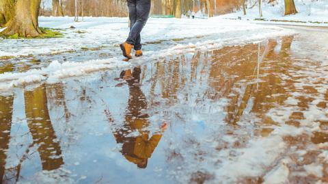 Prognoza temperatury na kolejne dni