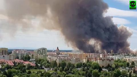 Pożar zboża pod Lubinem (wideo z 13.07.2022)