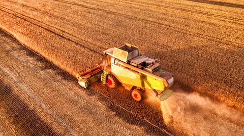 Zakaz przywozu produktów rolnych z Ukrainy a prawo unijne. Minister rolnictwa Robert Telus komentuje 