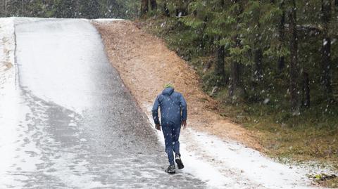 Prognozowana temperatura na kolejne dni