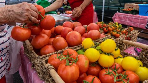 Paweł Myziak Zrzeszenie Producentów Papryki RP o produkcji warzyw w Polsce i Europie