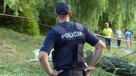 W jednym z parków w Kaliszu konar spadł na trzy nastolatki