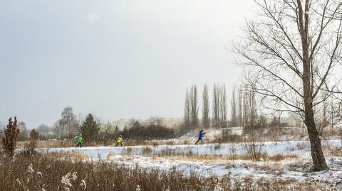 Prognozowana temperatura w kolejnych dniach