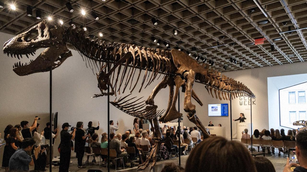 T-Rex Skeleton Sells for Record $50.1 Million at Sotheby's