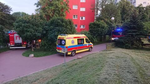 Lublin. Paliło się mieszkanie na dziewiątym piętrze. Strażacy znaleźli truchła czterech zwierząt
