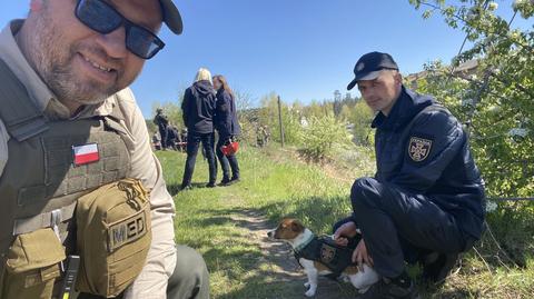 Pies Patron pomaga przy wyszukiwaniu min na Ukrainie