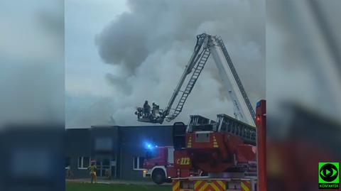 Pożar hali magazynowej w Opolu 