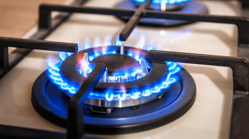 Soboń: kryterium dochodowe jest możliwe w przypadku zamrożenia cen gazu