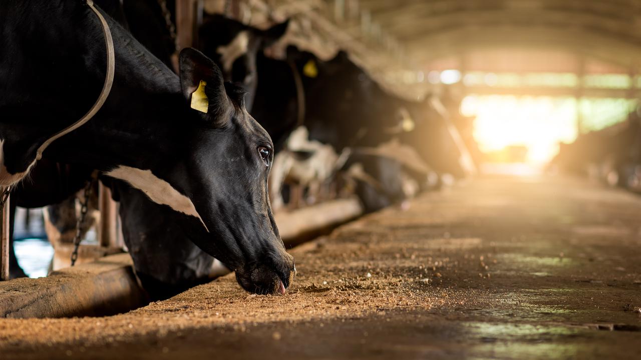 Zwrot w sprawie kontrowersyjnej umowy