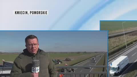 krajewski lajf 1