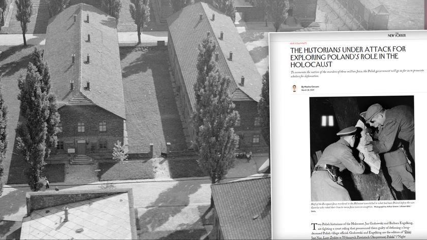 Dyrektor Muzeum Auschwitz Piotr Cywiński: nasza obojętność rodzi najwięcej ofiar (wideo archiwalne)