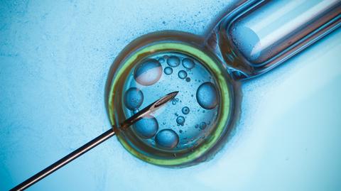 Procedura in vitro