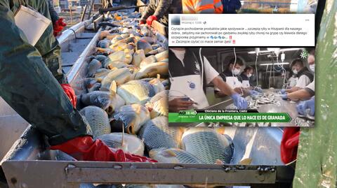Ukryta kamera nagrała sposób obchodzenia się z rybami