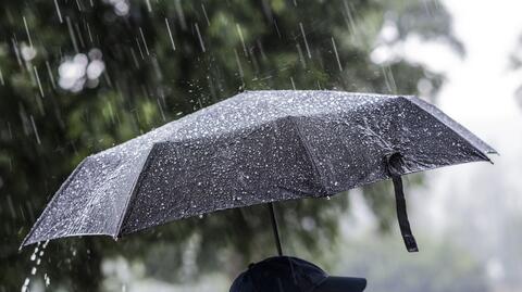 Prognozowana temperatura na kolejne dni