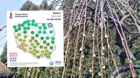 Prognoza temperatury na okres 25-29.04