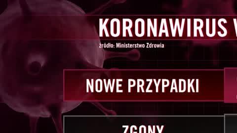przypadki