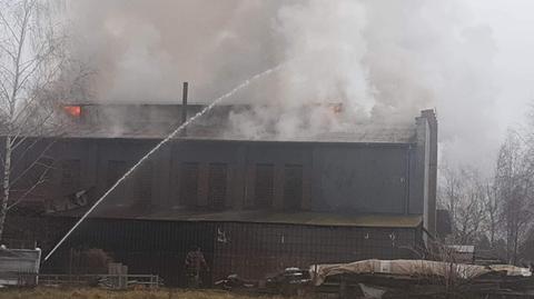 Pożar hali produkcyjnej w Roztokach w woj. podkarpackim 