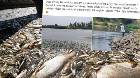 Katastrofa ekologiczna na Odrze. "To jest tylko ułamek z całej masy ryb, która usnęła"