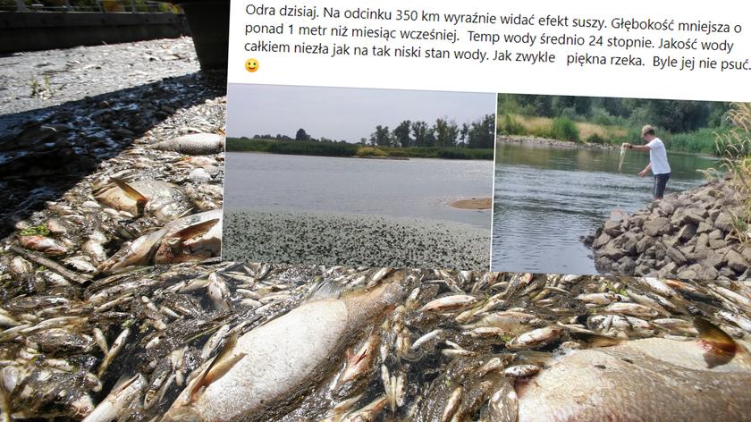 Katastrofa ekologiczna na Odrze. "To jest tylko ułamek z całej masy ryb, która usnęła"