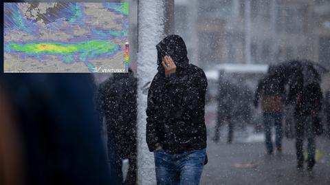 Prognozowana temperatura w kolejnych dniach