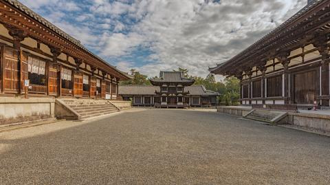 Jelenie wschodnie w Parku Nara