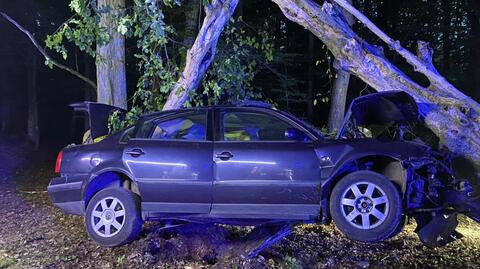 Kierowca wypadł z leśnej drogi i uderzył w drzewa 