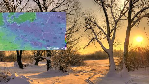 Prognozowana temperatura na najbliższe dni