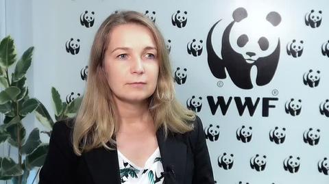 WWF: handel dziką przyrodą to czwarty najbardziej zyskowny czarny rynek na świecie