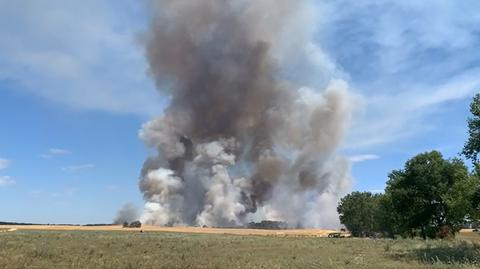 Pożar łąk i pól. Paliło się prawie 90 hektarów ścierniska 