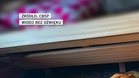 cbsp 