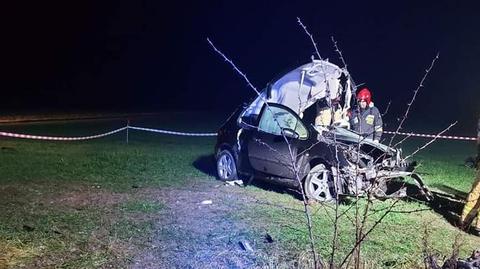 Sulmów: Auto uderzyło w drzewo, zginęła 17-latka
