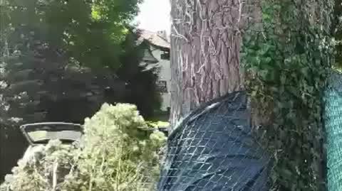 sztutowo bez setek