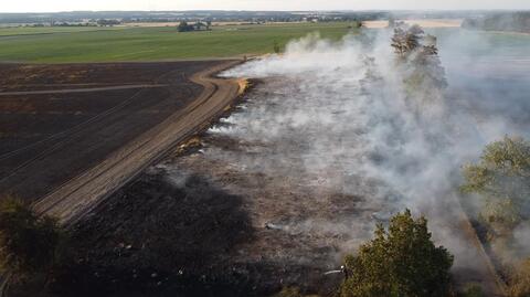 W powiecie świebodzińskim płonęło 90 hektarów pola. Ujęcia z drona
