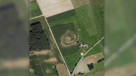 Nowe Grodzkie. Na zdjęciach satelitarnych wójt zobaczył kręgi na polu kukurydzy. Tak trafił na relikty grodziska sprzed wieków