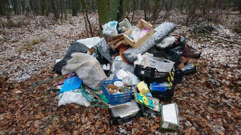 Poznań. Po przedświątecznych porządkach odpady wywiózł do lasu (materiał z 12.12.2021)