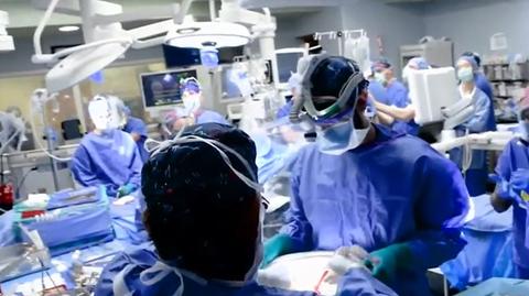 USA: lekarze w Nowym Jorku przeszczepili 57-latkowi, który jest w stanie śmierci mózgowej, nerkę świni