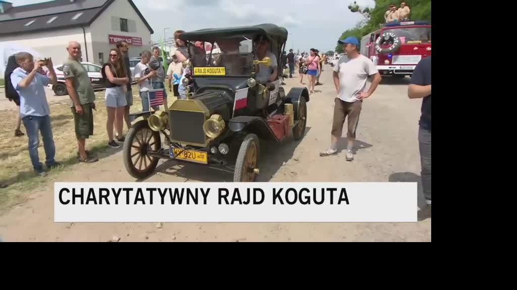 kogut2