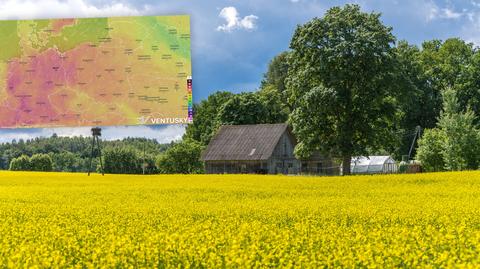 Prognozowana temperatura w kolejnych dniach