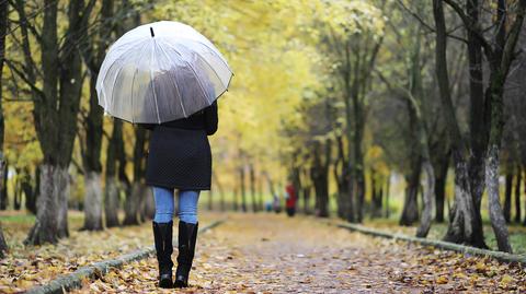Prognozowana temperatura na najbliższe dni